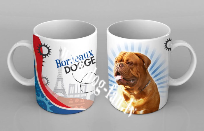 bordcup copy